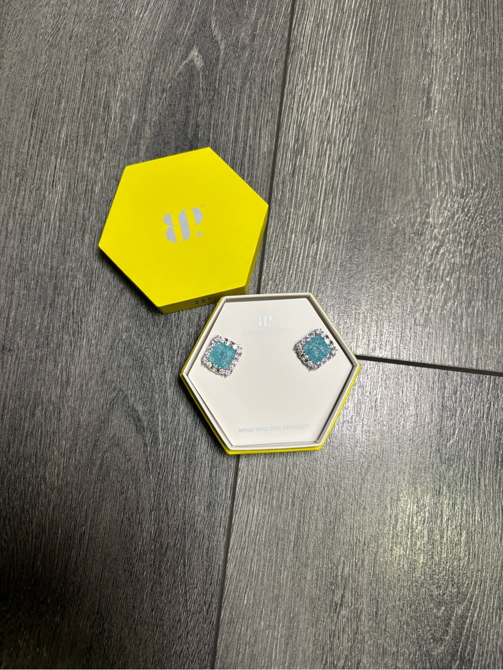 Bomb Party Originals Earrings Echoes of Unbroken Secrets